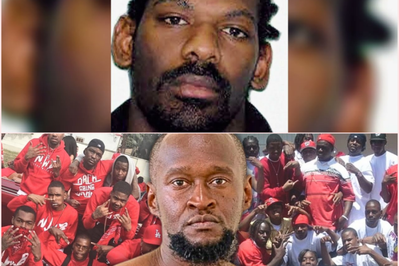 He Was A Top Bloods Gang Leader Got Killed By Rival Bloods Over A Girl 