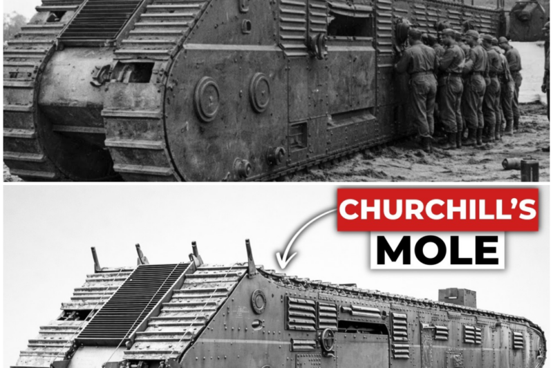 Why This ‘Absurd’ British Trench-Cutter Terrified Everyone Except The Germans –  Hw