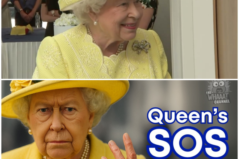 19 SURPRISING FACTS HIDDEN in Queen Elizabeth II’s Body Language –  Hw