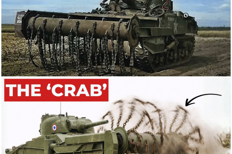 The ‘Insane’ British Tank That Beat Minefields To Death With Chains –  Hww