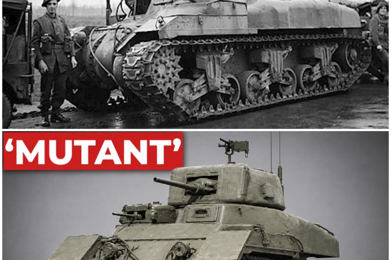 The ‘Pointless’ Canadian Tank That Never Fired Its Gun Yet Won Battles Across Europe – Hw