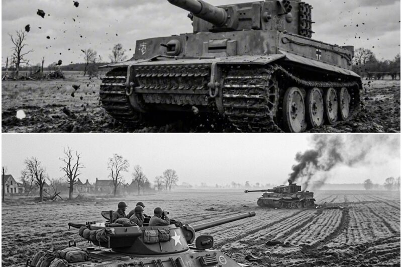 The American Trick That Turned the M36 Jackson Into a Tiger Hunter in Just Seconds D