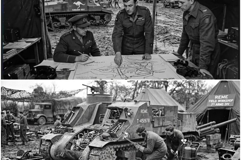 British Engineers Cut Open Damaged Tanks and Created Something the Germans Had Never Seen D